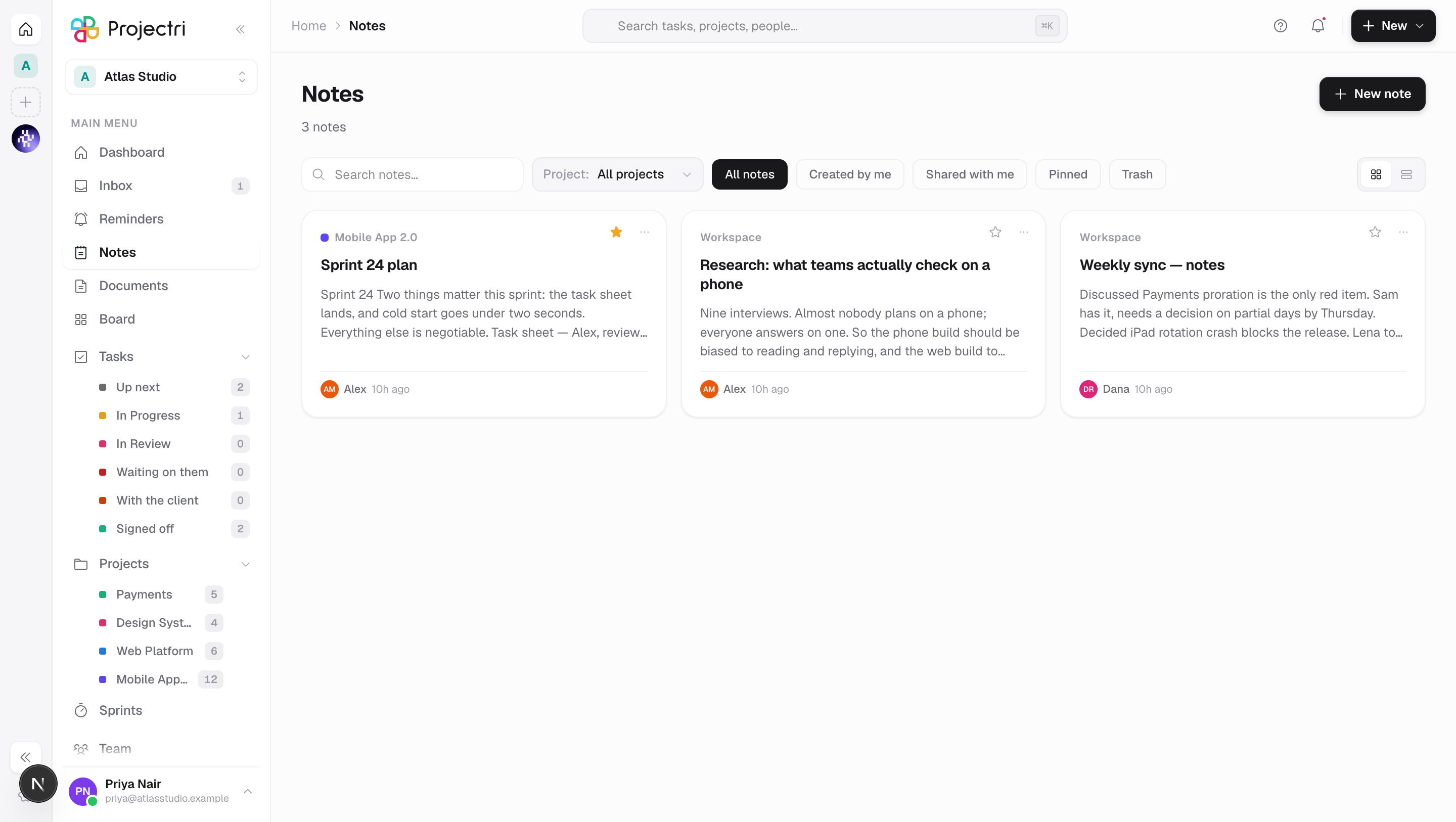 A screenshot of Notes in Projectri