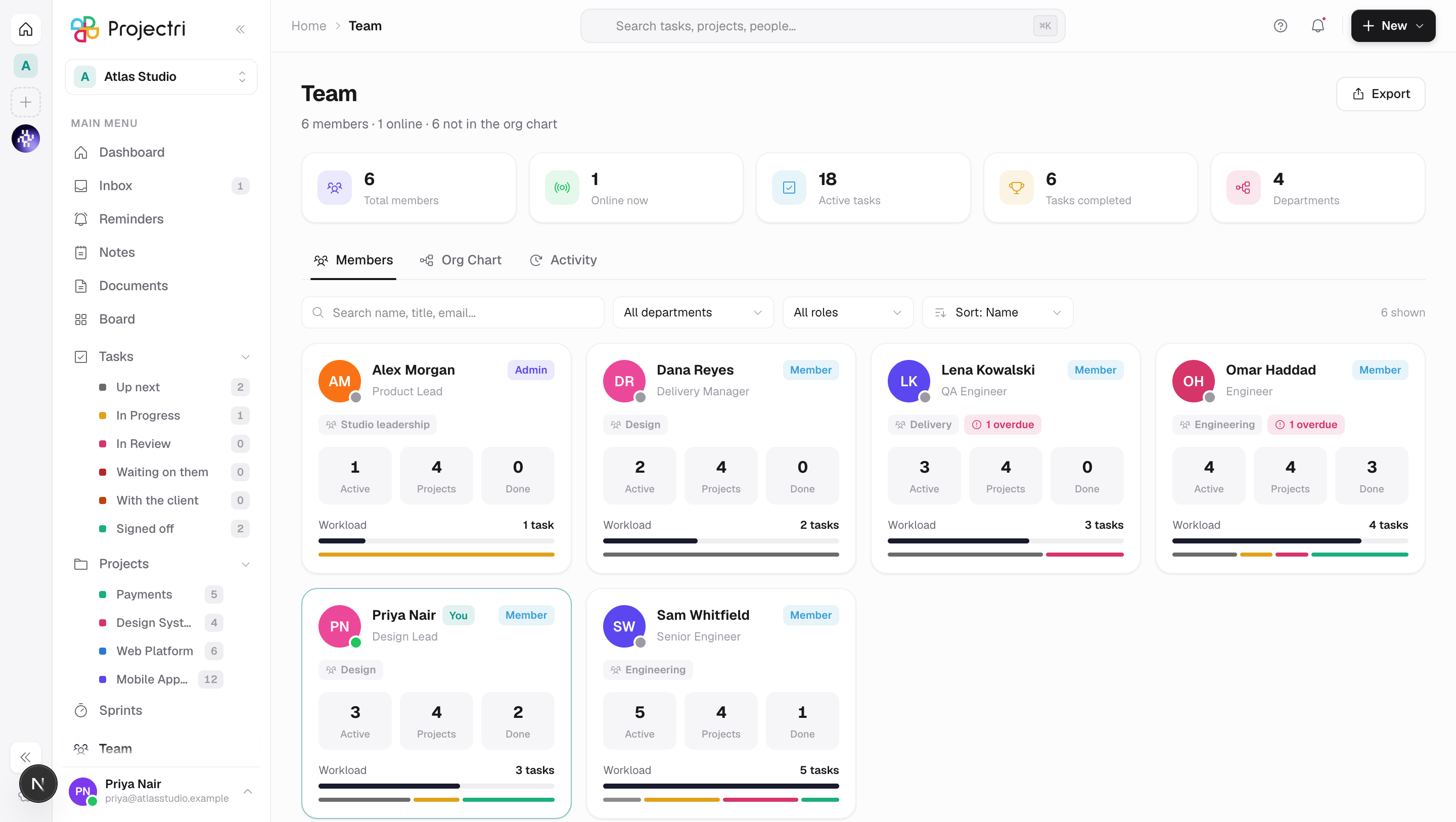 A screenshot of Team in Projectri